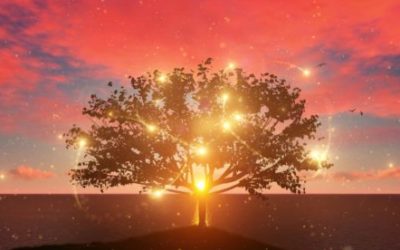 Vánoční chvilka životní filosofie: Zachraňte se, jinak budete spaseni – díl 2. – Praktická cesta k lepšímu životu