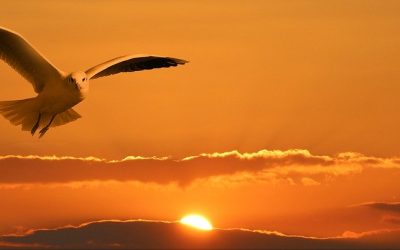 „Jaké by pro vás bylo vys♥at se na to, kým jste?“