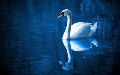 Jak být sama sebou – co ve vaší energii způsobuje, když vám to moc nejde