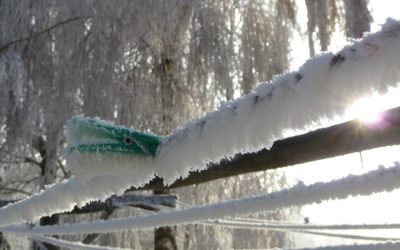 Samota a osamělost – proč je právě teď ta správná doba?