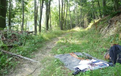 A přece se točí… Aneb Internet a jiné signály