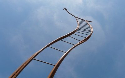 Dášina brzda: Jak nás ovlivňují rozhodnutí učiněná před narozením