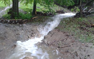 Teče voda, teče… I.