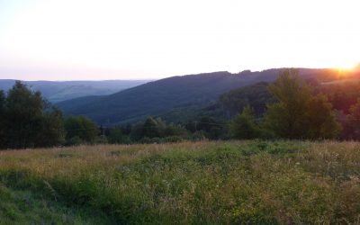 Jak to všechno začalo…