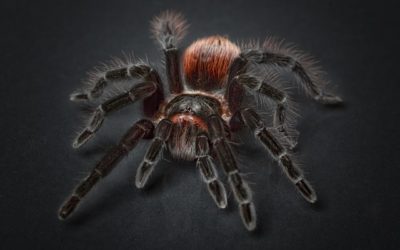 Vaše příběhy: Dítě, které bilo hlavou o zeď